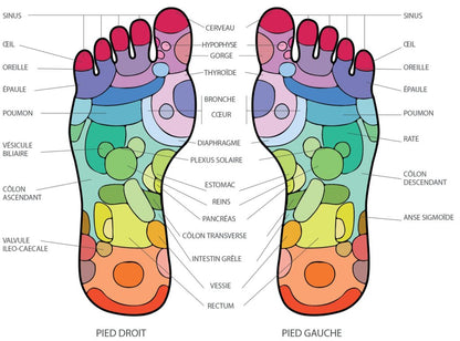 Bâton d’Acupuncture en Bois